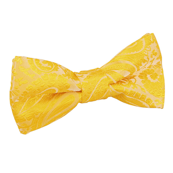 paisley_boys_gold_bow_e4f9c3c2-5c70-4b72-98cc-b3132ec612f4.jpg