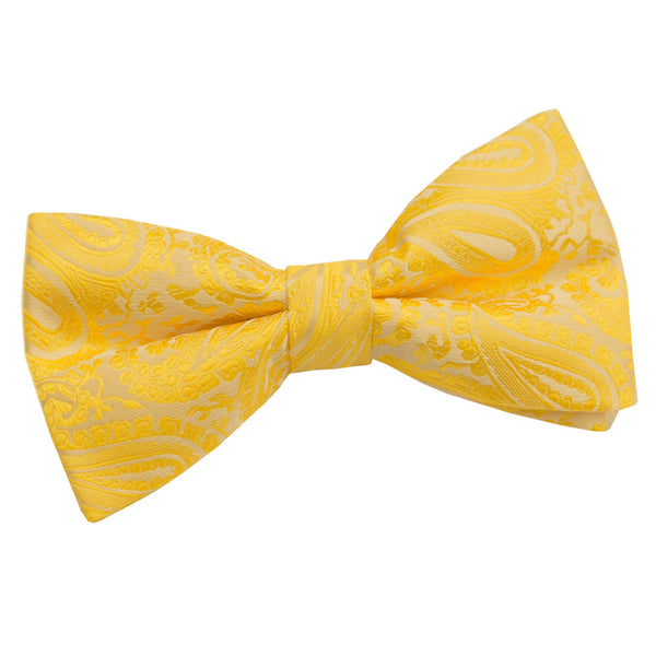 paisley_gold_mens_bow_79cc7349-c095-4b5f-b398-85b0cbdfd2c2.jpg